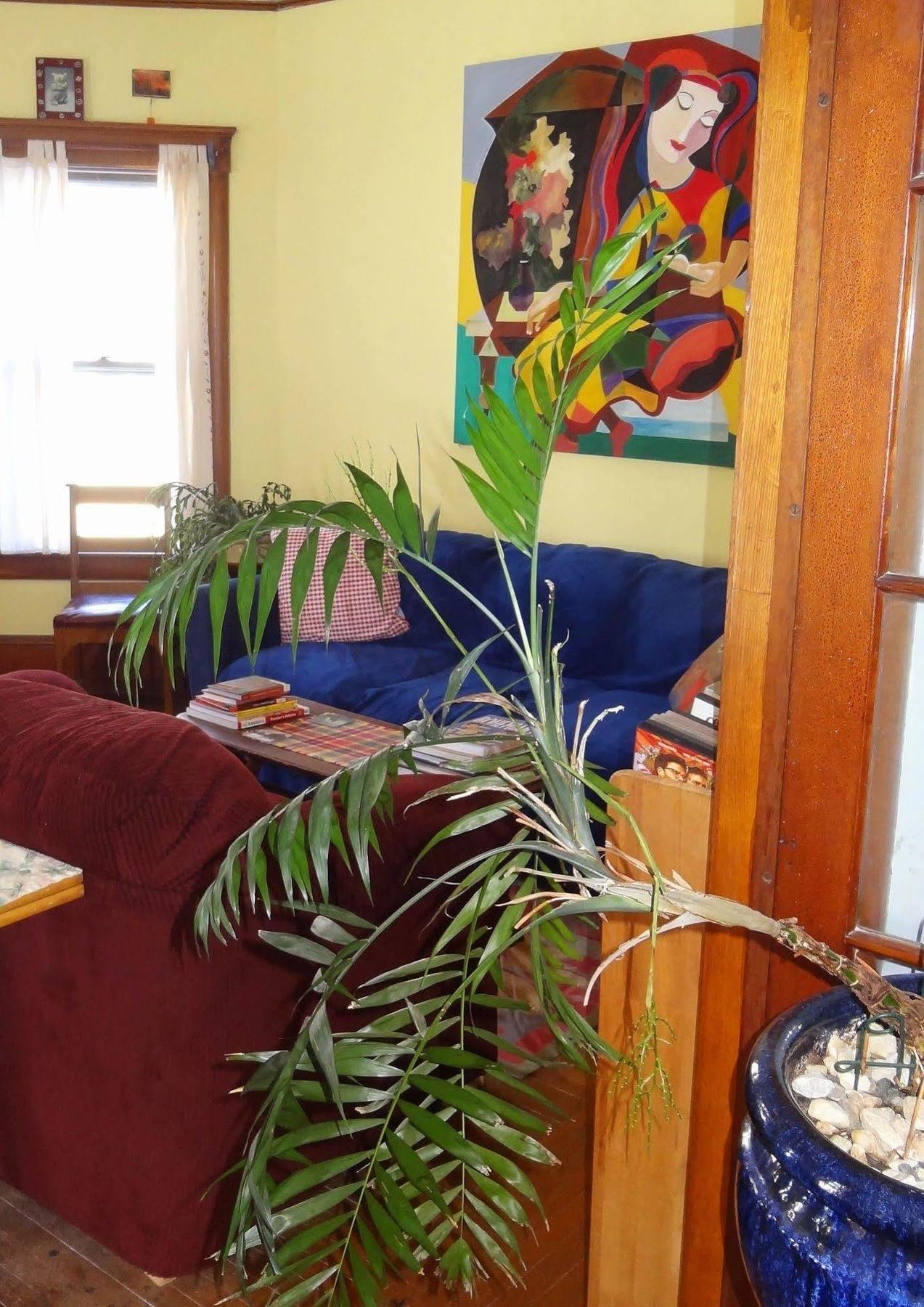 The One Cat Bed and Breakfast Brattleboro Eksteriør billede