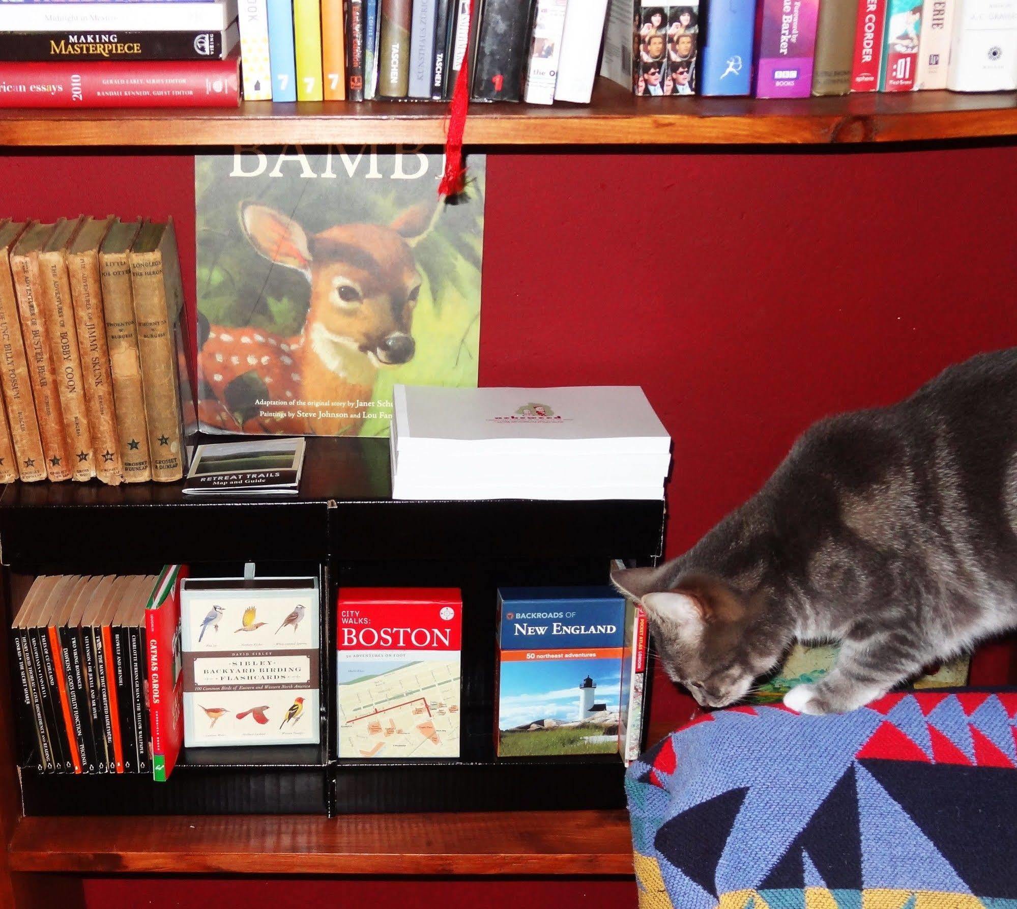 The One Cat Bed and Breakfast Brattleboro Eksteriør billede