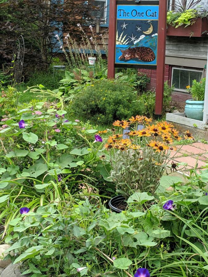 The One Cat Bed and Breakfast Brattleboro Eksteriør billede